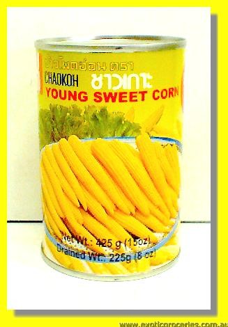 Young Sweet Corn Size MM 15up