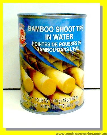 Bamboo Shoot Tips