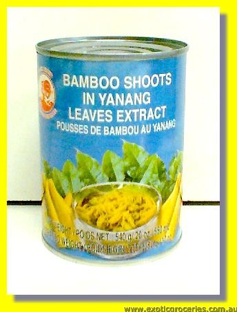 Bamboo Shoot in Yanang Leaves Extract
