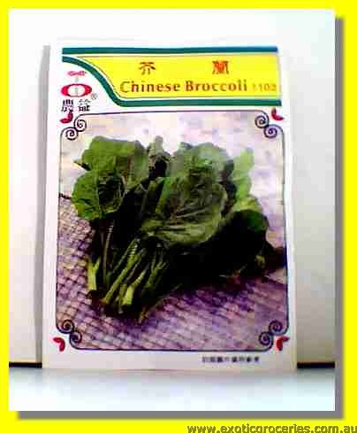 Chinese Broccoli Seed 1103