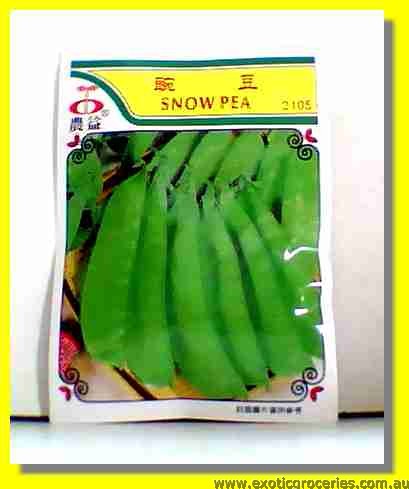 Snow Pea Seed 2105