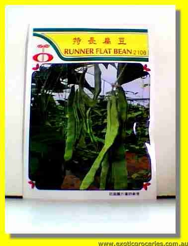 Runner Flat Bean Seed 2106