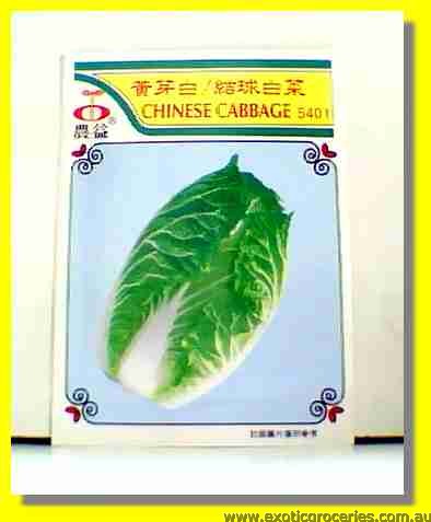 Chinese Cabbage Seed 5401