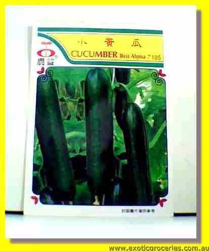 Cucumber Seed 7105