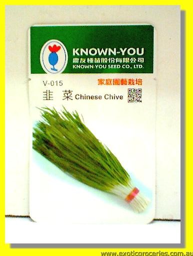 Chinese Chive Seed V-015