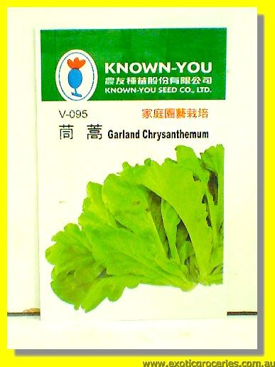 Garland Chrysanthemum Seed V-095