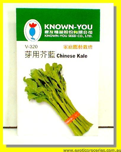 Chinese Kale Seed V-320