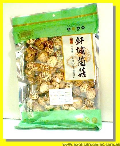 Shiitake Mushroom Lentinus Edodes