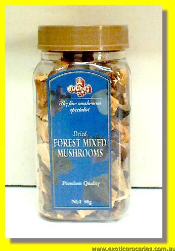Dried Forest Mixed Mushrooms